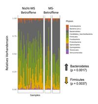 Ergebnisse der Kieler Studie zum Mikrobiom